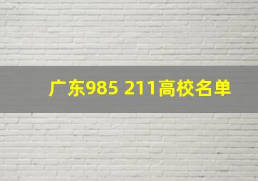 广东985 211高校名单